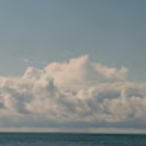 Meet your Posher, Adam - Picture 1 of 1